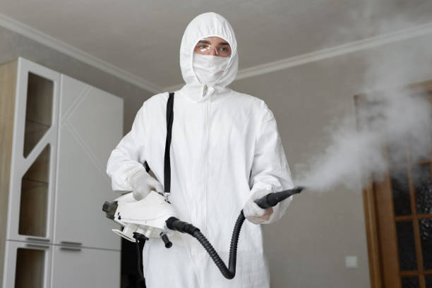 Professional Mold Removal & Remediation in Brooklyn Center, MN